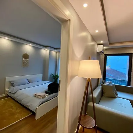 Luxury One Bedroom Galataport&tram No: 8 Apartamento Estambul