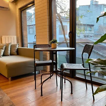 Luxury One Bedroom Galataport&tram No: 8 Estambul